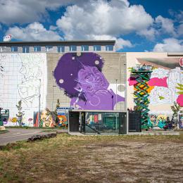 Change of Colors_20200822_24d_6016 x 4016